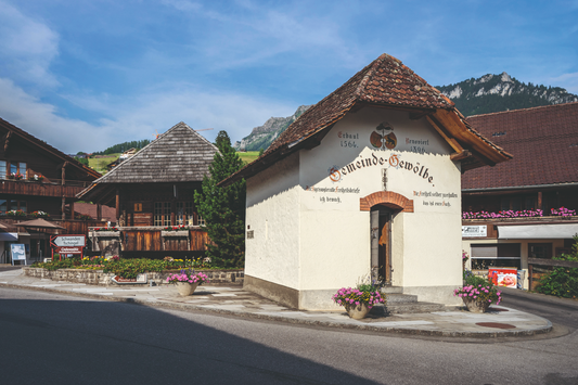MUSEUM SIGRISWIL / SIGRISWIL MUSEUM
