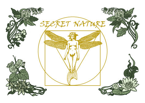 SECRET NATURE