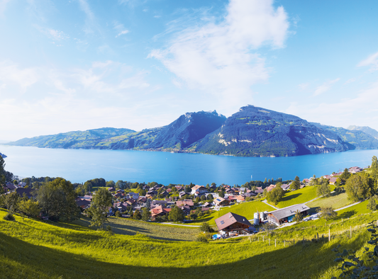 AUSSICHTSPUNKT / VIEWPOINT BÜEL