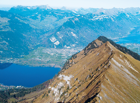 MORGENBERGHORN