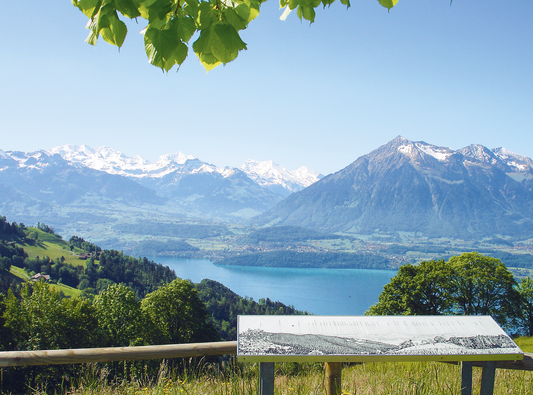 AUSSICHTSPUNKT / VIEWPOINT VESUV