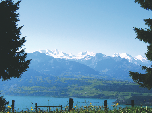 AUSSICHTSPUNKT / VIEWPOINT MARGEL