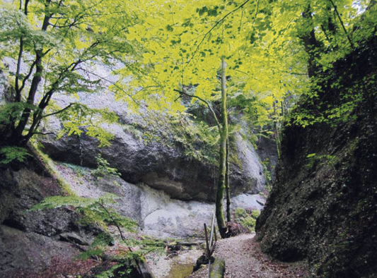 CHOLERENSCHLUCHT