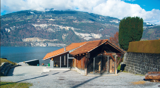 LEISSIGER FILMTAGE / MOVIE DAYS