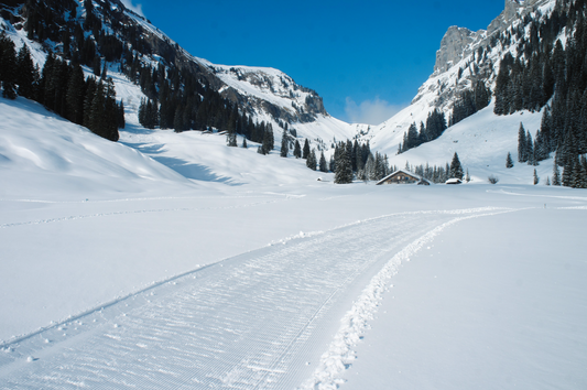 LANGLAUFEN / CROSS-COUNTRY SKIING