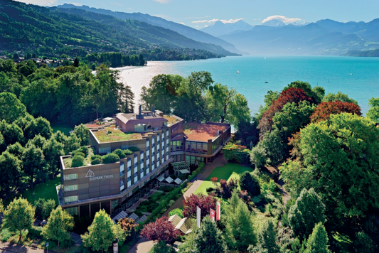 HOTEL SEEPARK THUN ****Superior