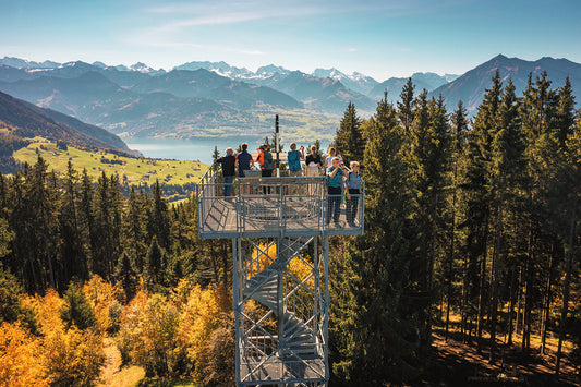 AUSSICHTSTURM / VIEWPOINT BLUEME
