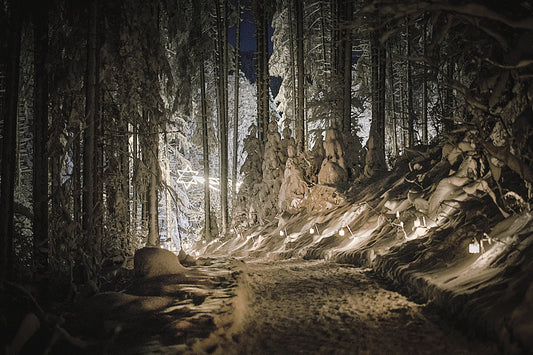 WEIHNACHTSWEG / CHRISTMAS TRAIL